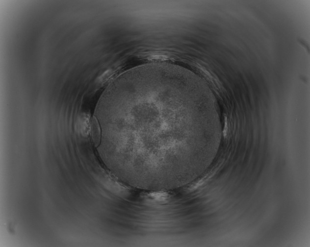 X0000093100478200709261234