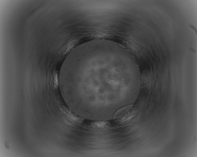 X0000093100479200709261234