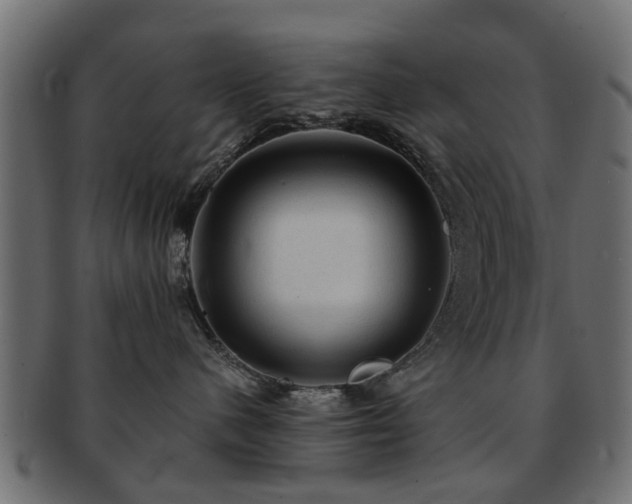 X0000093100480200709261234