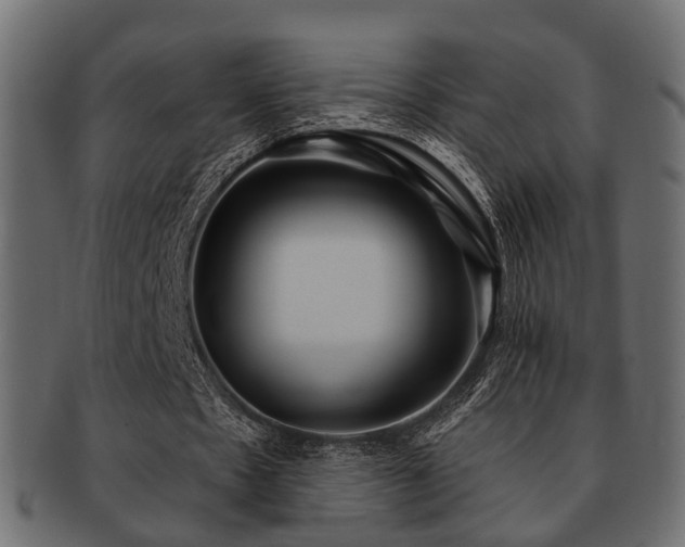 X0000093100481200709261233