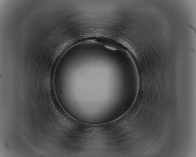 X0000093100482200709261233