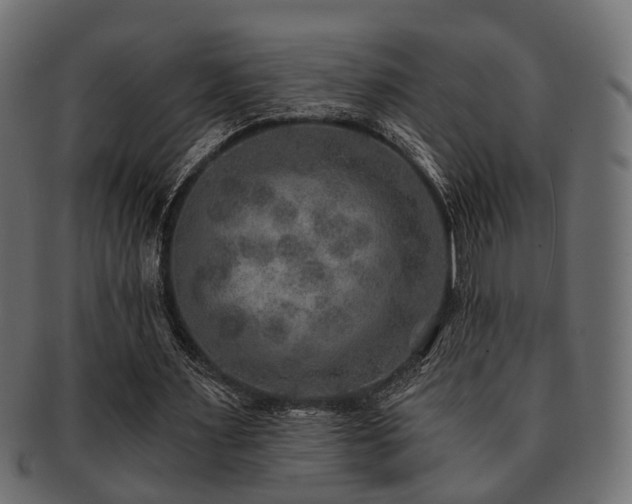 X0000093100483200709261233