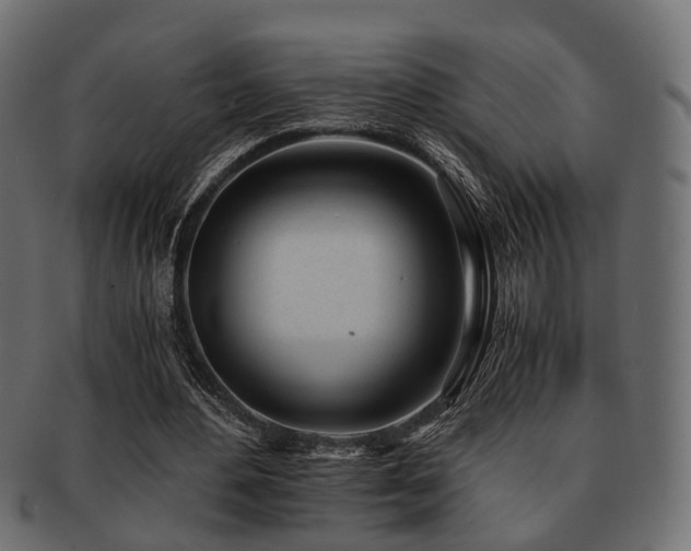 X0000093100484200709261233
