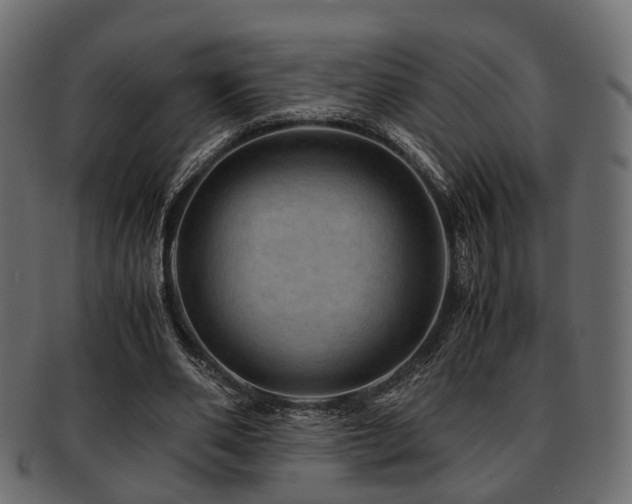 X0000093100486200709261233