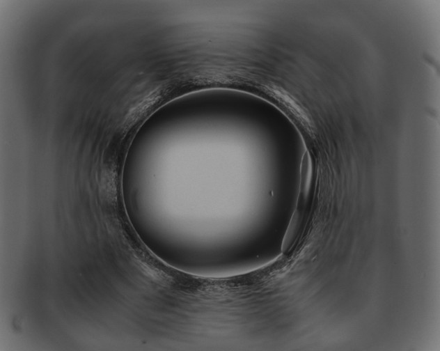 X0000093100489200709261233