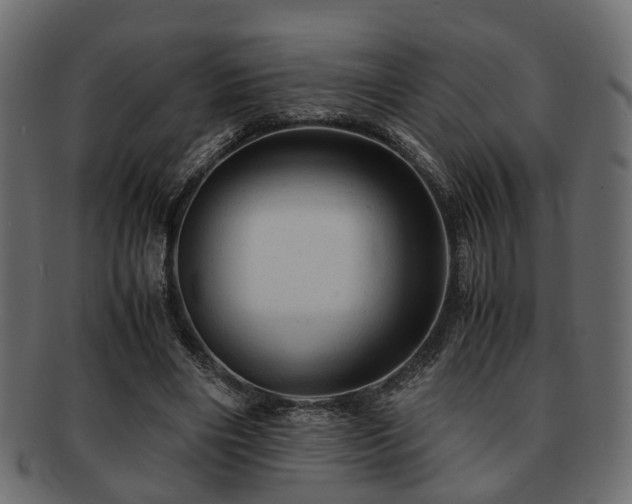 X0000093100490200709261233