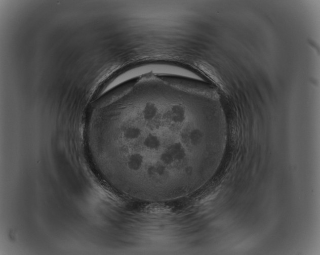 X0000093100491200709261233