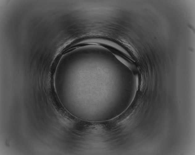 X0000093100492200709261233