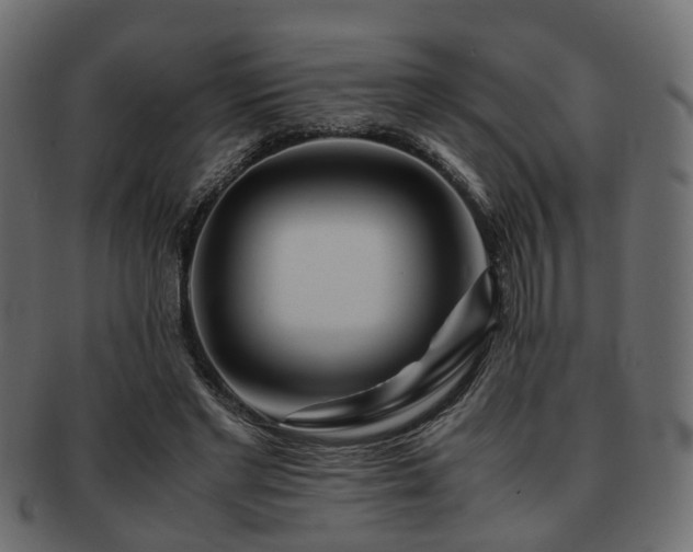 X0000093100493200709261233