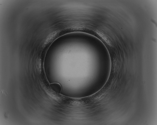X0000093100494200709261233