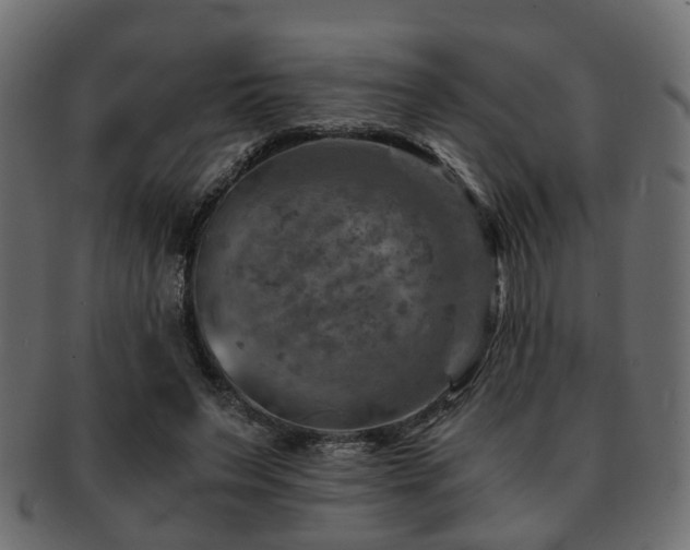 X0000093100495200709261233