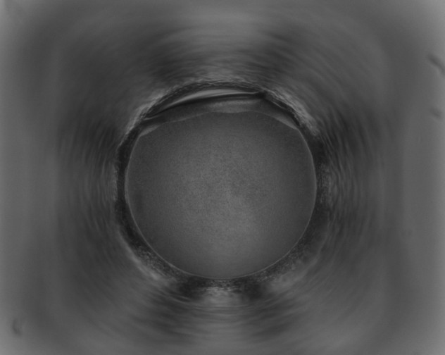 X0000093100496200709261233
