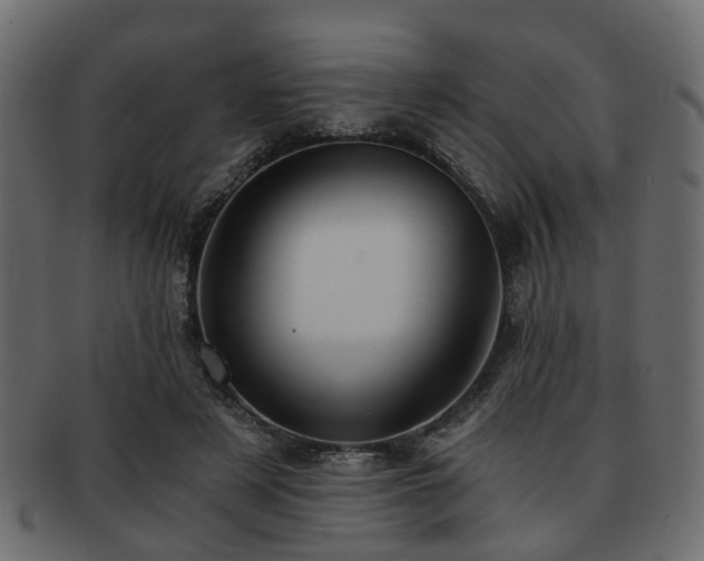 X0000093100497200709261233