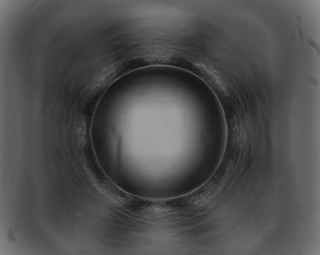 X0000093100498200709261233