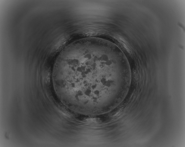 X0000093100499200709261233