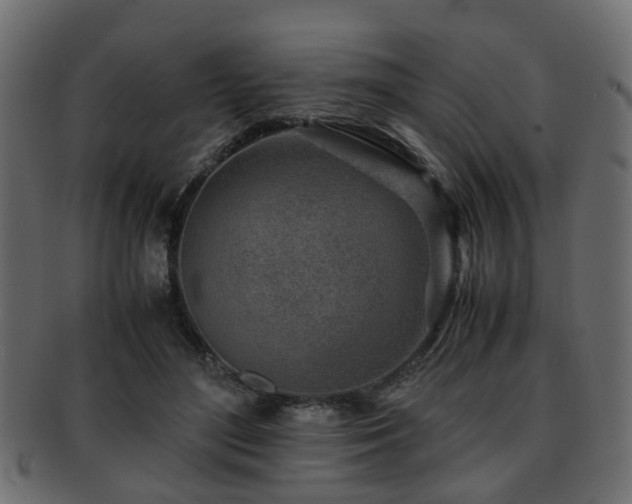X0000093100500200709261233