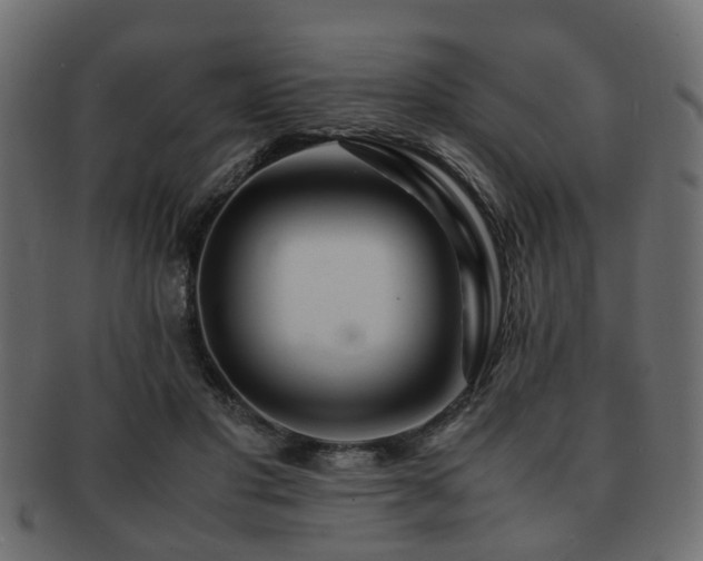 X0000093100501200709261233