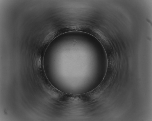 X0000093100502200709261233