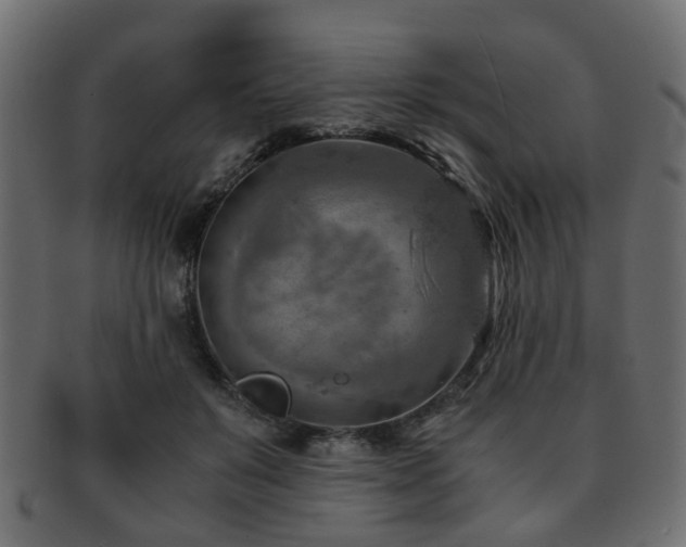 X0000093100503200709261233