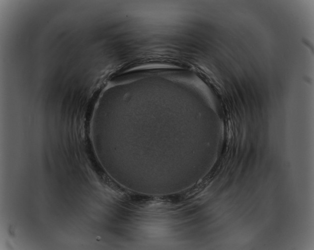 X0000093100504200709261233