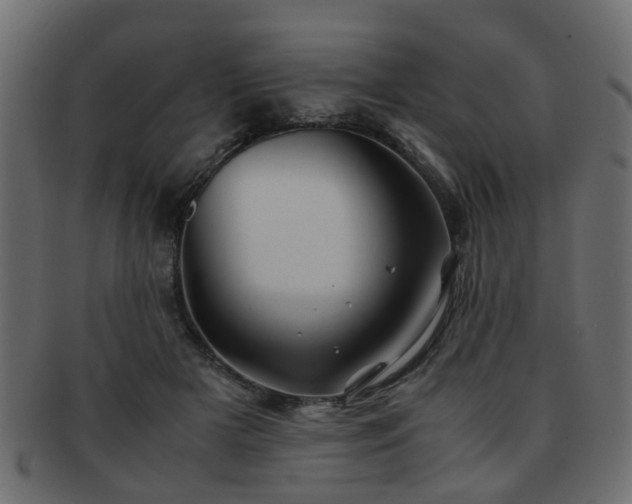 X0000093100505200709261233