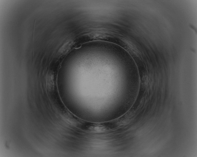 X0000093100506200709261233