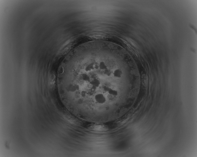 X0000093100507200709261233
