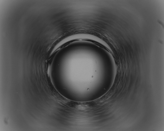 X0000093100508200709261233