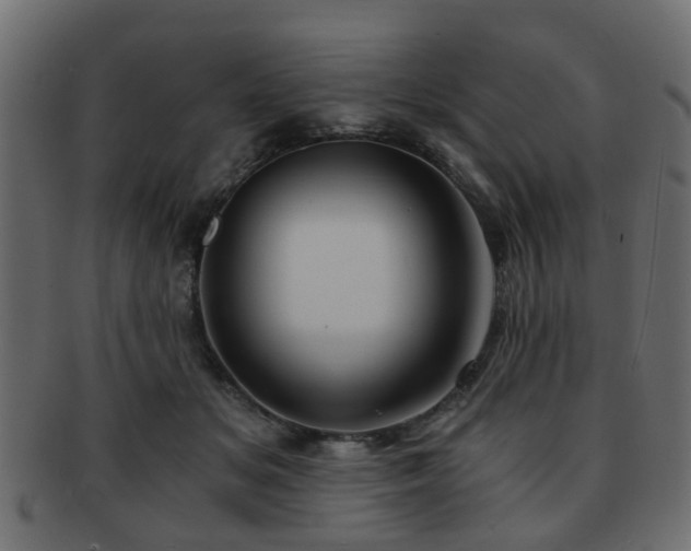 X0000093100509200709261233