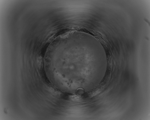 X0000093100511200709261233