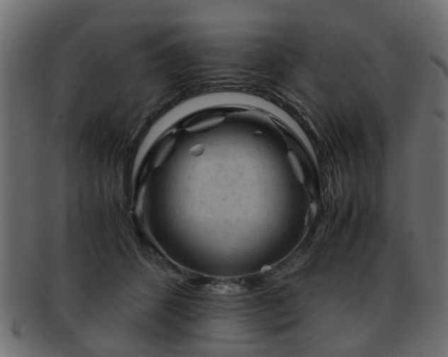 X0000093100512200709261233