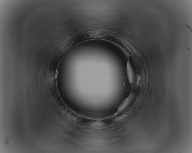 X0000093100513200709261233