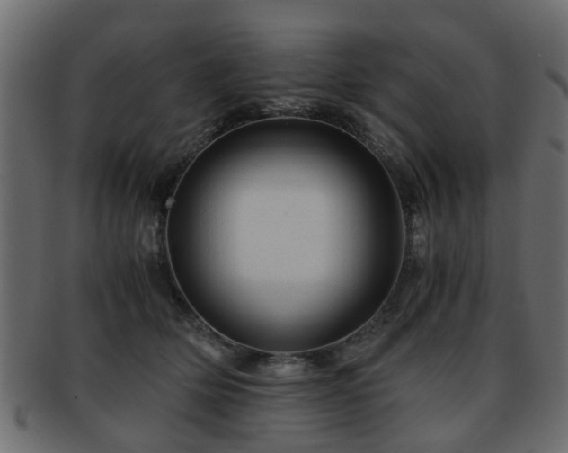 X0000093100514200709261233
