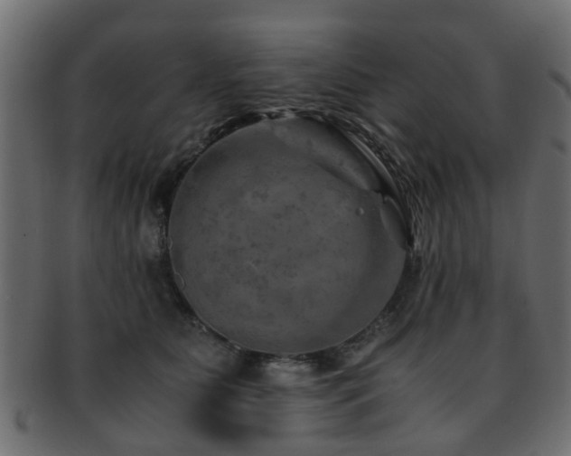 X0000093100515200709261233