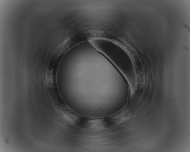 X0000093100516200709261233