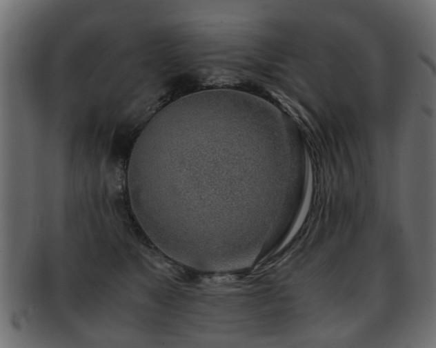 X0000093100517200709261233
