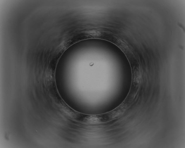 X0000093100518200709261233