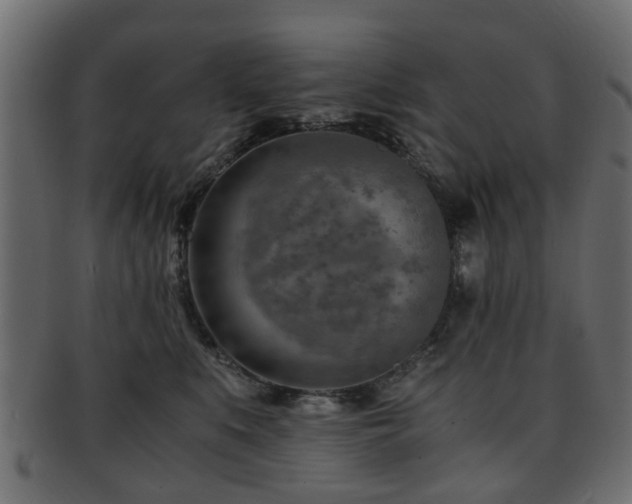 X0000093100519200709261233