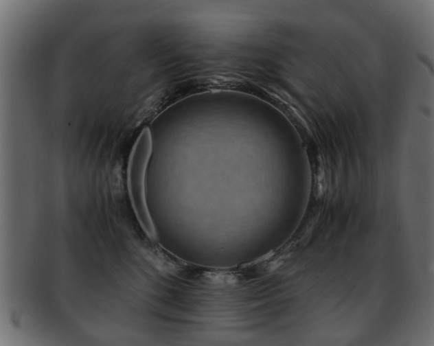 X0000093100520200709261233