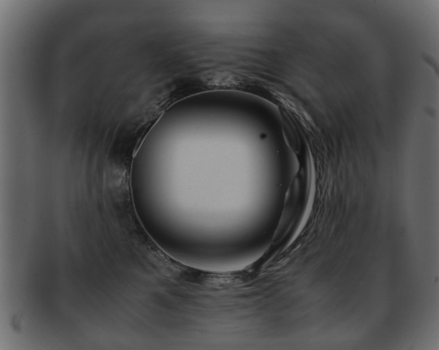 X0000093100521200709261233
