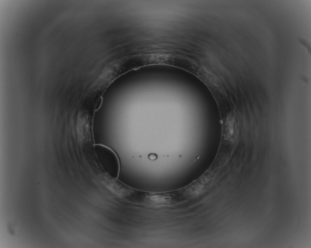 X0000093100522200709261233