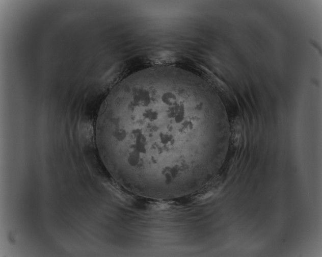 X0000093100523200709261233