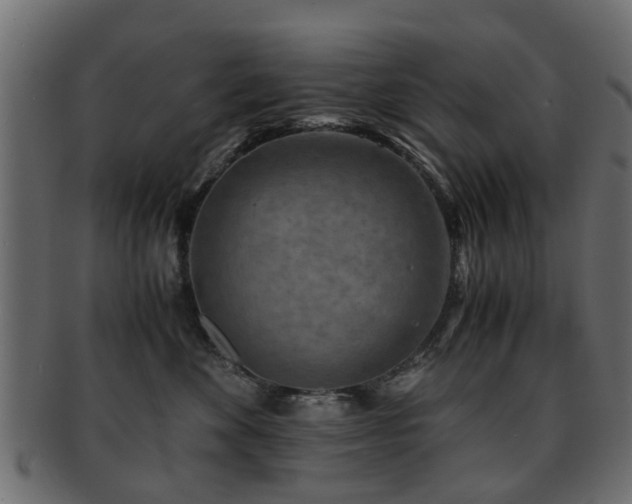 X0000093100524200709261233