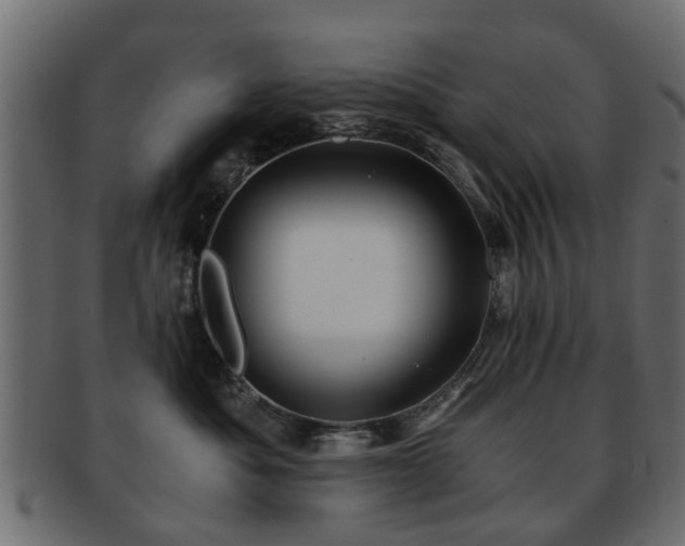 X0000093100525200709261233
