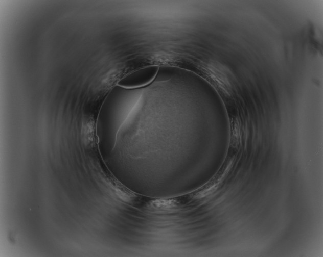 X0000093100526200709261233