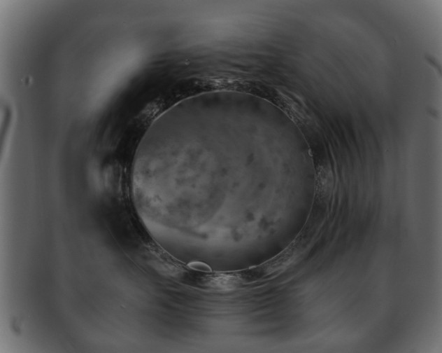 X0000093100527200709261233