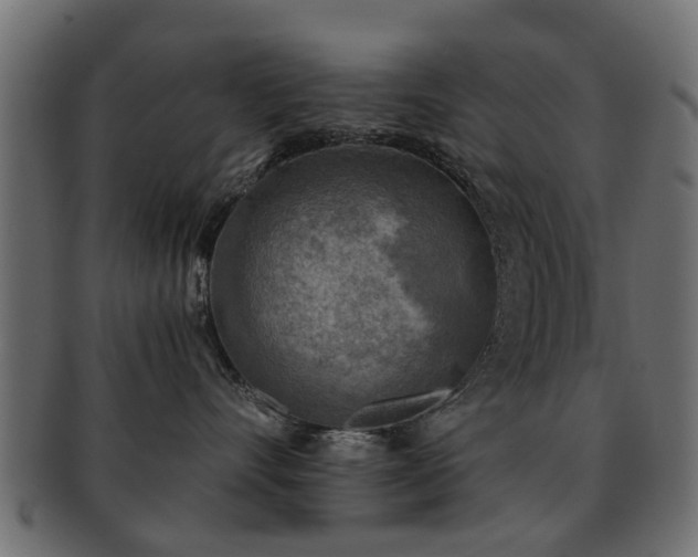X0000093100528200709261233