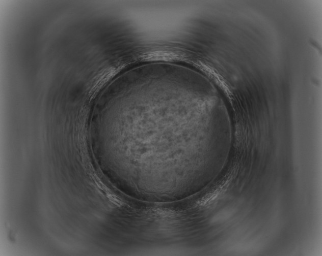 X0000093100529200709261232