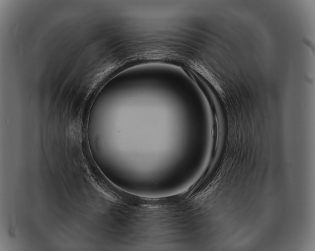 X0000093100530200709261232