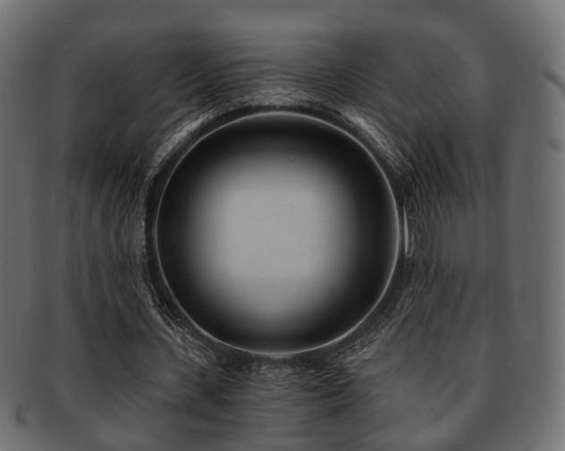 X0000093100531200709261232